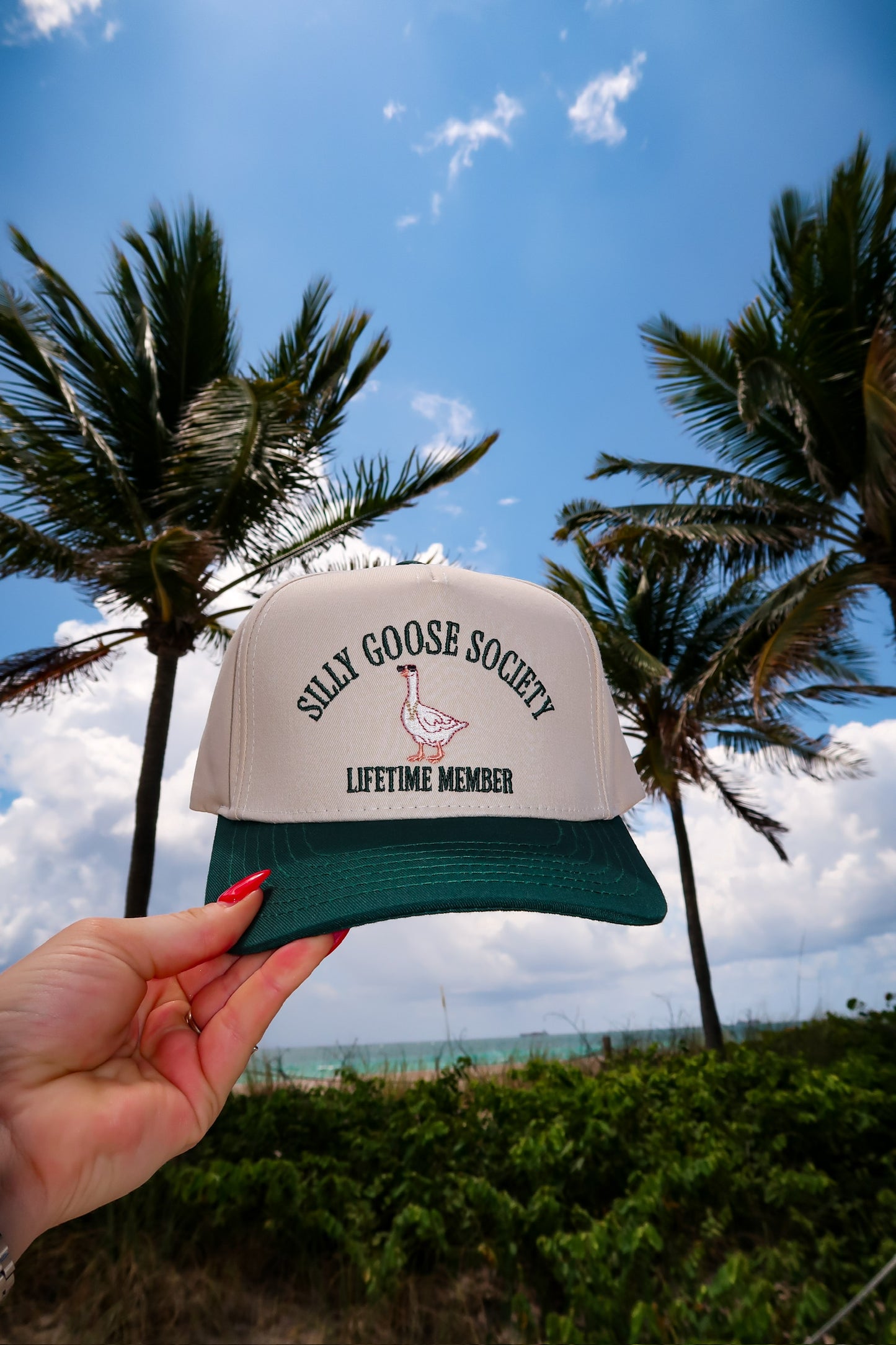 Silly Goose Society Hat