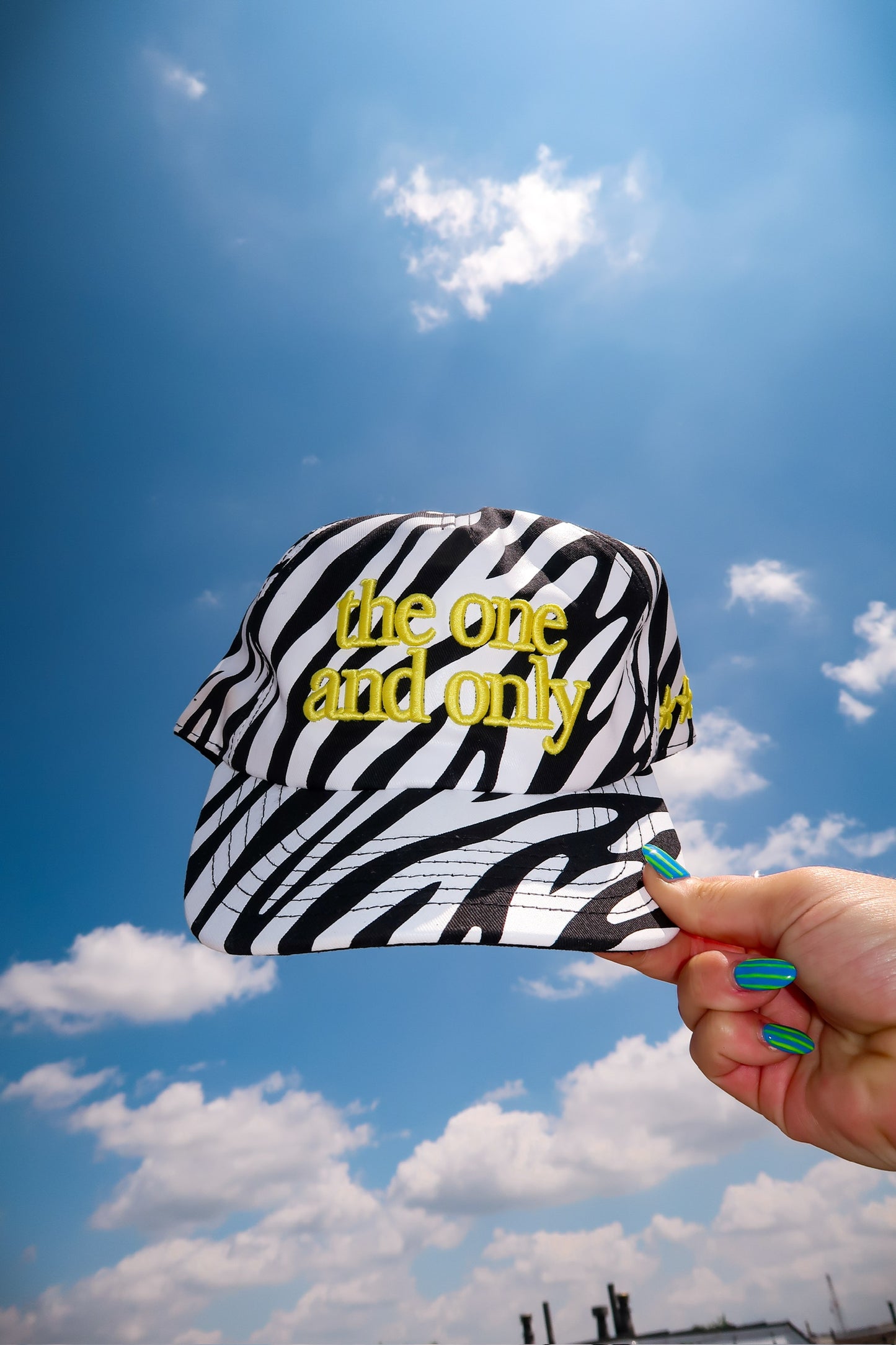 The One And Only Hat