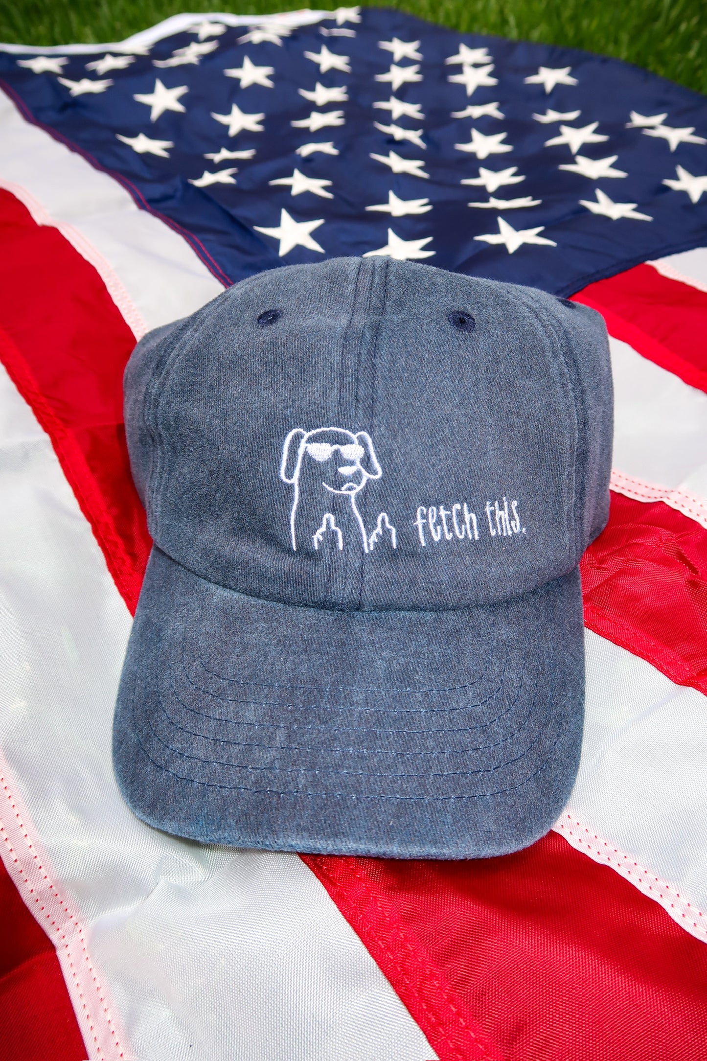 Fetch This Dad Cap
